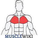 MuscleWiki